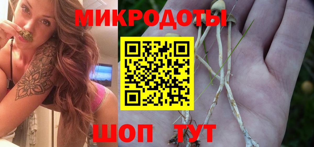 купить   Галлюциногенные грибы Magic Shrooms  Вход с VPN  Семёнов 